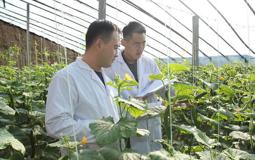 安丘百名檢測員一線把關，筑牢“舌尖安全”防護網