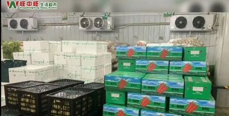 凝心聚力，共戰疫情 江西省零售服務產業協會在行動，守護食用農產品零售安心線